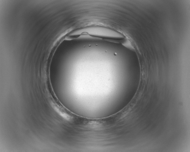 X0000082160390200702021706