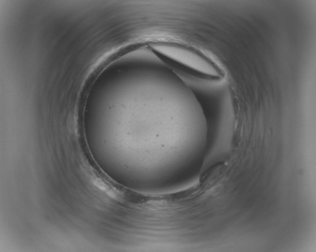 X0000082160391200702021706