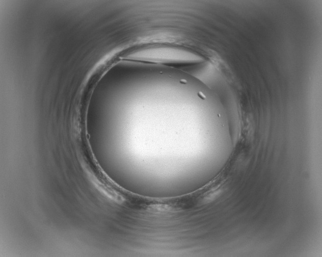 X0000082160392200702021706