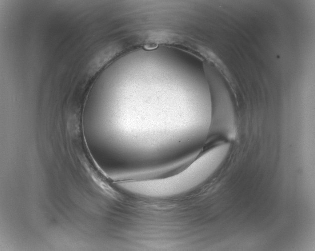 X0000082160393200702021706