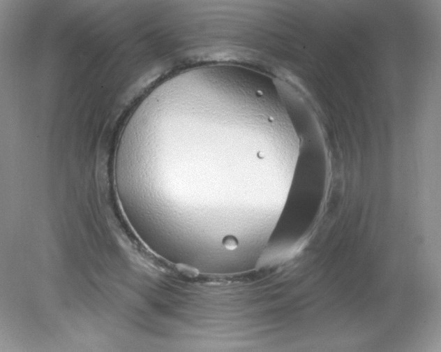 X0000082160394200702021706