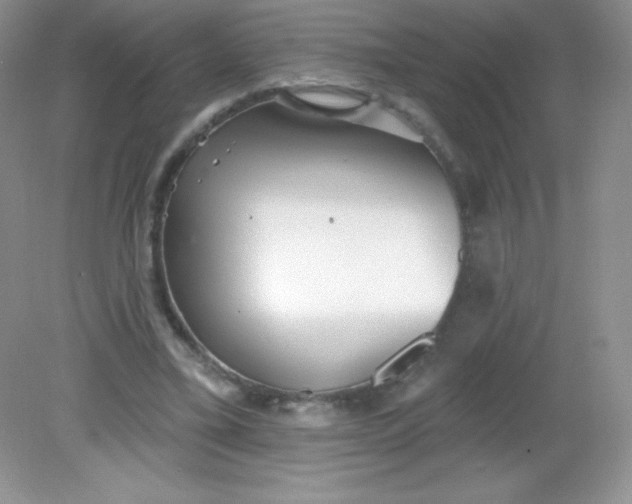 X0000082160395200702021706