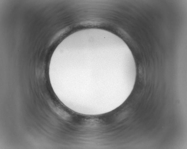 X0000082160396200702021706