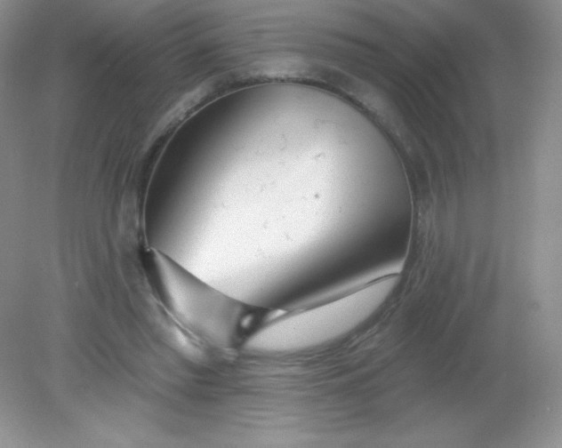 X0000082160397200702021706