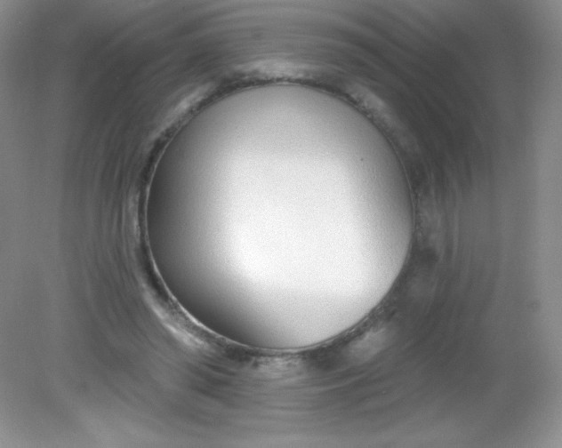 X0000082160398200702021706