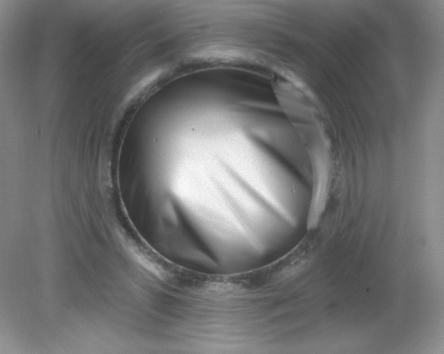 X0000082160399200702021706