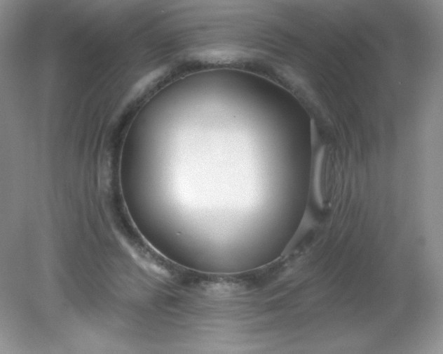 X0000082160400200702021706