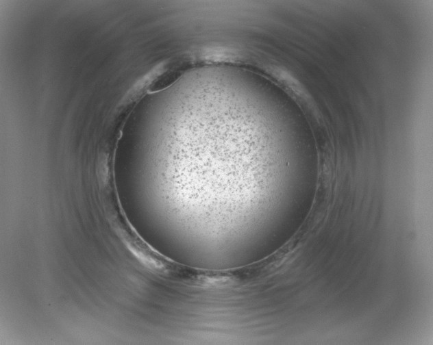 X0000082160401200702021706