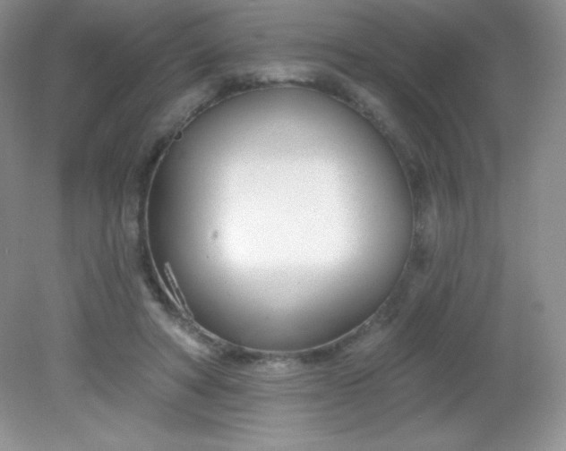 X0000082160402200702021706