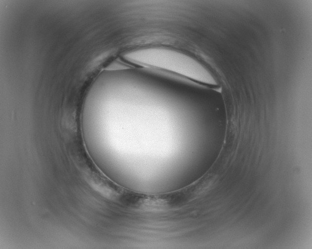 X0000082160403200702021706