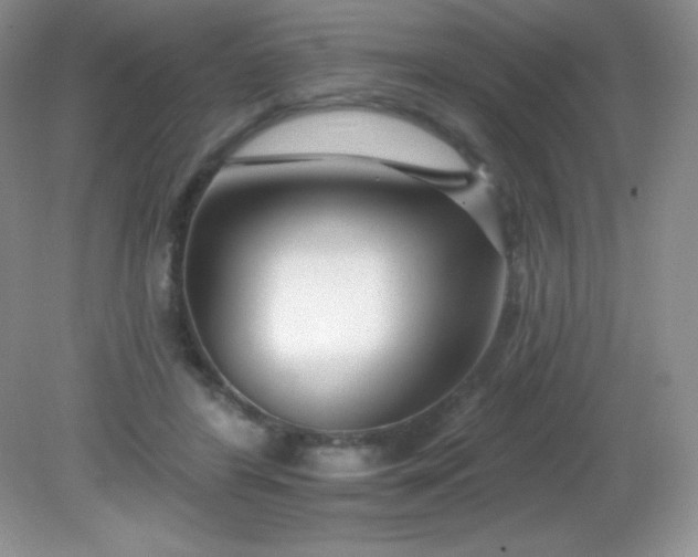 X0000082160404200702021706