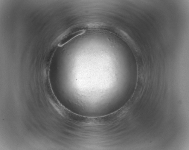 X0000082160405200702021706