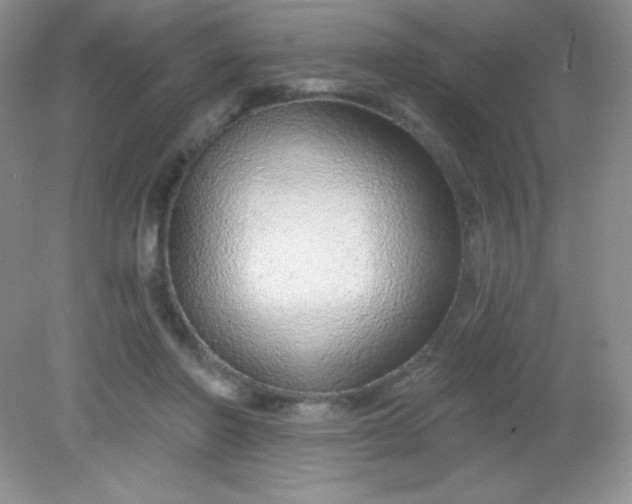 X0000082160406200702021706