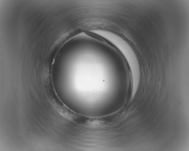 X0000082160407200702021706