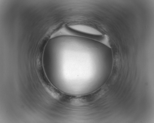 X0000082160408200702021706