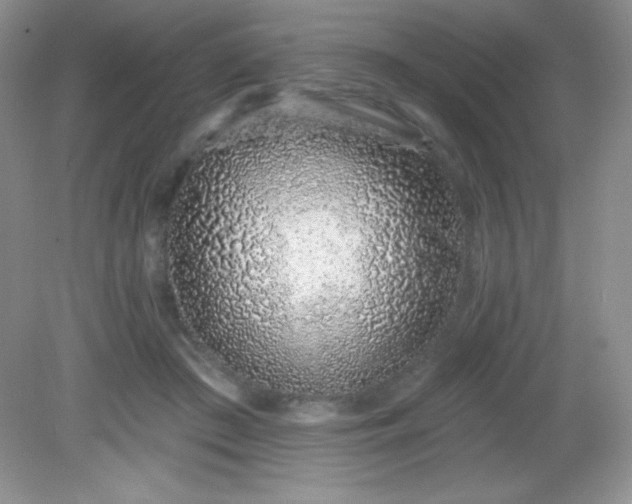 X0000082160409200702021706