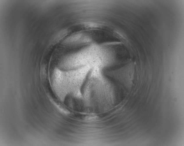 X0000082160410200702021706