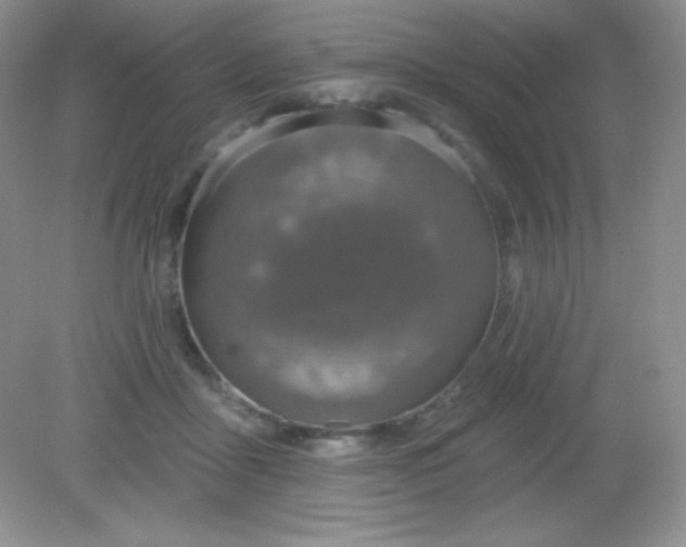 X0000082160411200702021706