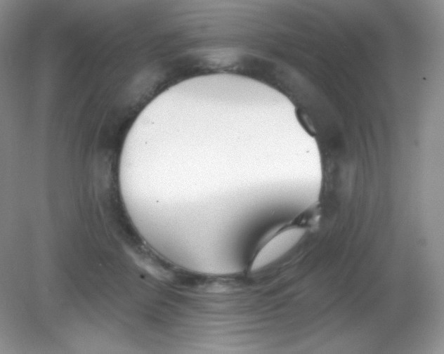 X0000082160412200702021706