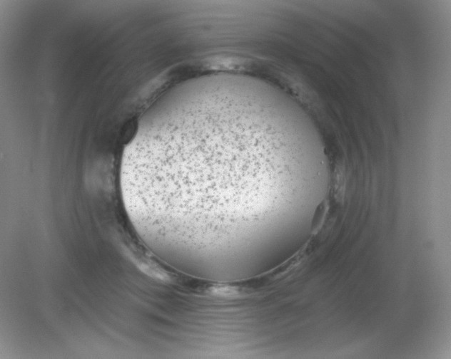 X0000082160413200702021706