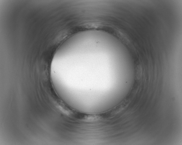 X0000082160414200702021706