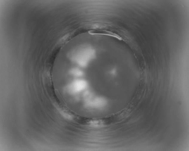 X0000082160415200702021706