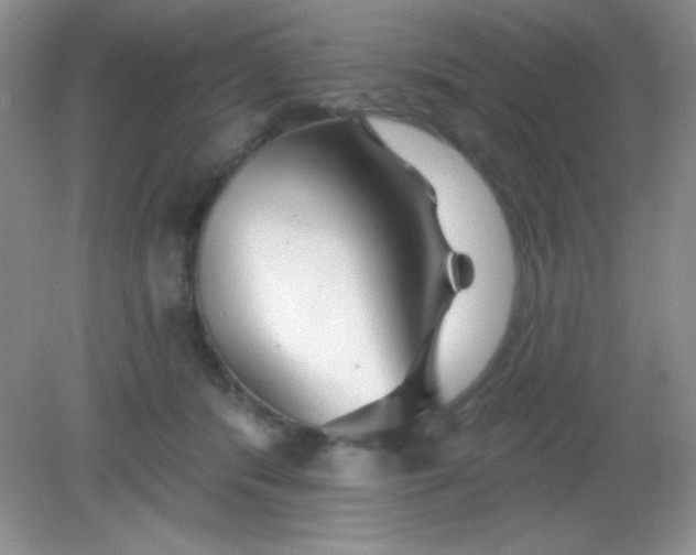 X0000082160416200702021706