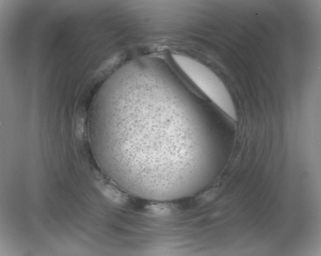 X0000082160417200702021706