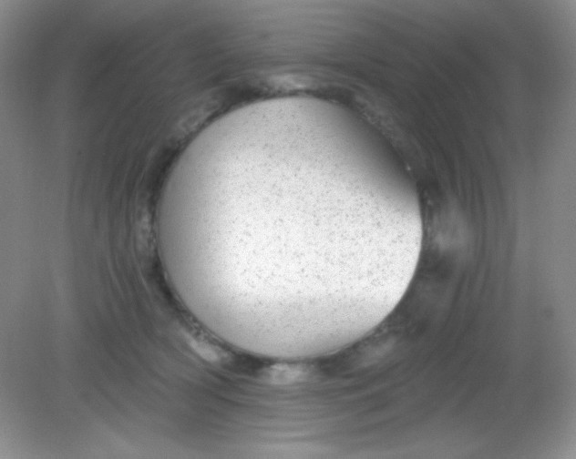 X0000082160418200702021706