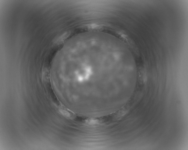 X0000082160419200702021706