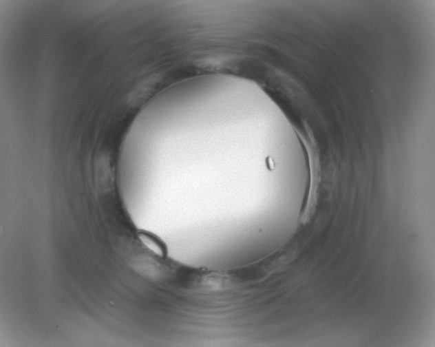 X0000082160420200702021706