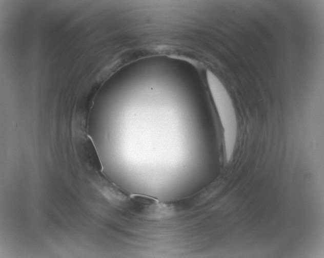 X0000082160421200702021706