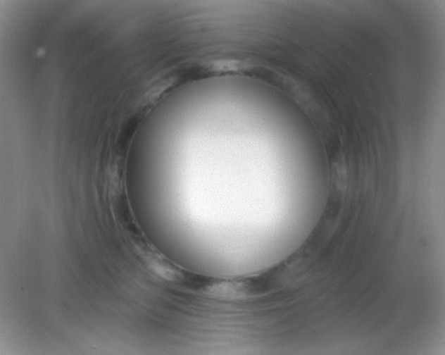 X0000082160422200702021706