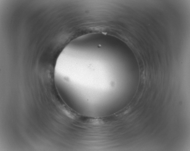 X0000082160424200702021706