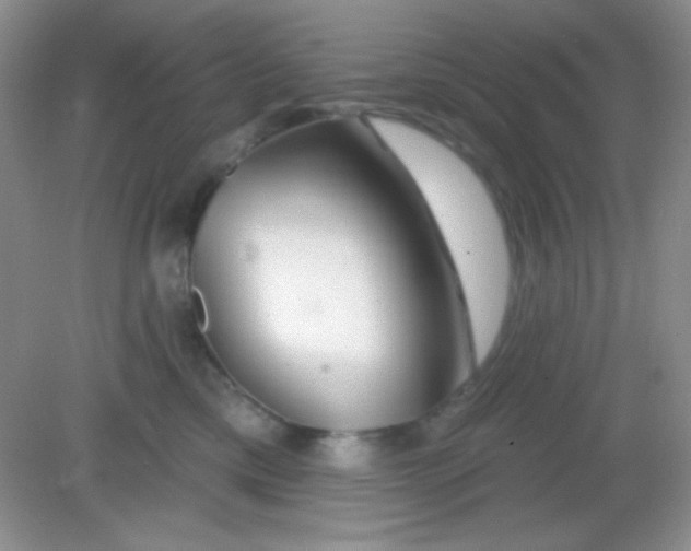 X0000082160425200702021706