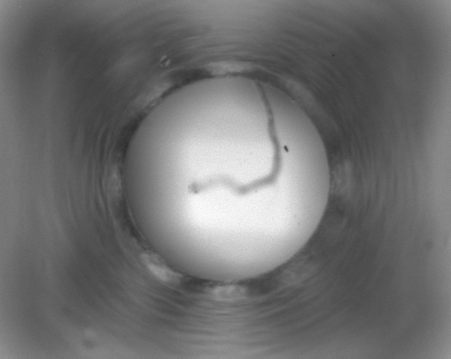 X0000082160426200702021706