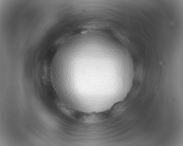 X0000082160430200702021705