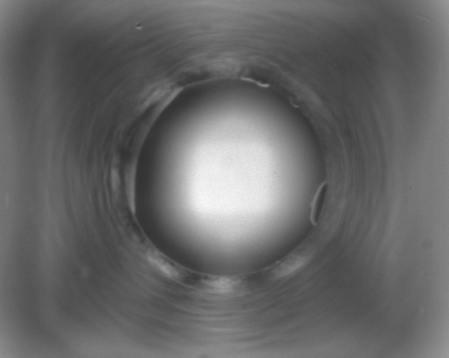 X0000082160432200702021705