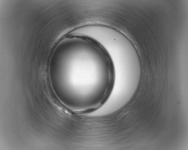 X0000082160434200702021705