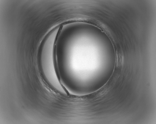 X0000082160435200702021705