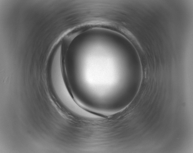 X0000082160436200702021705