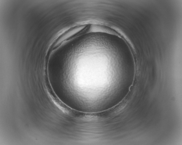 X0000082160437200702021705