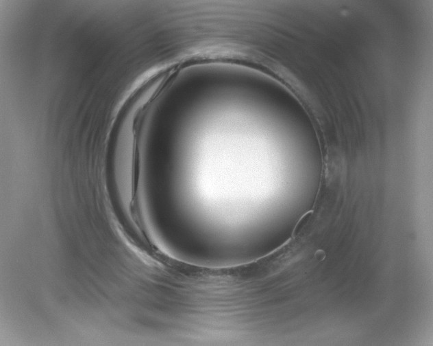 X0000082160438200702021705