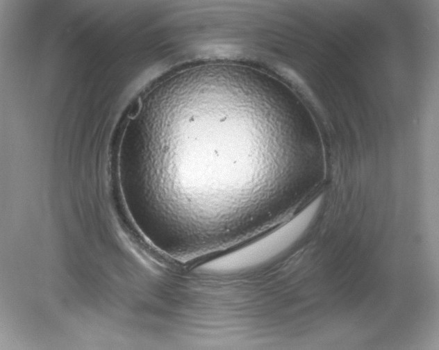 X0000082160439200702021705