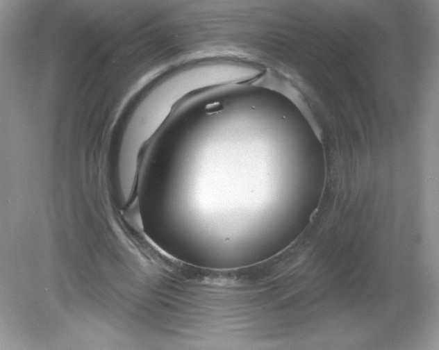 X0000082160440200702021705