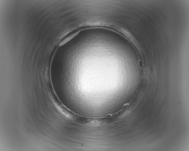 X0000082160441200702021705