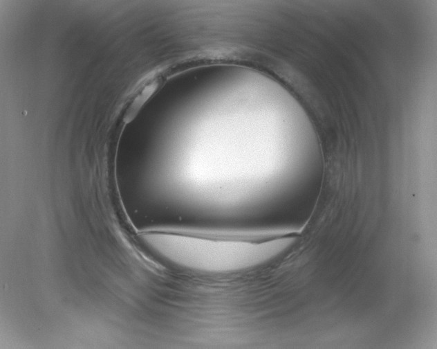 X0000082160442200702021705