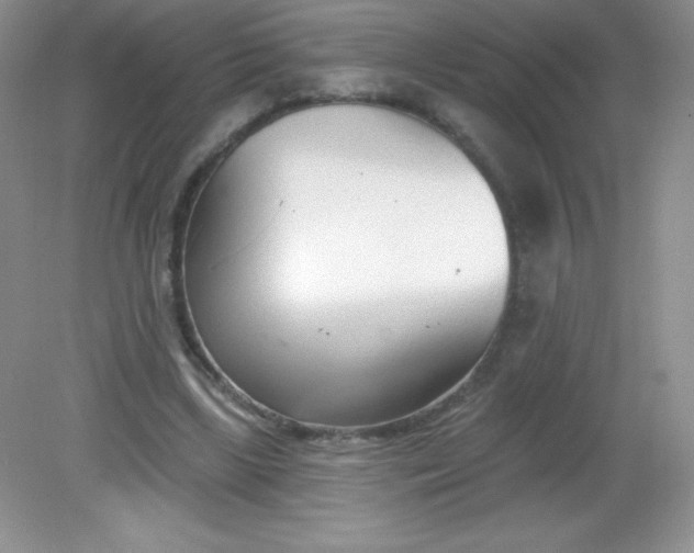 X0000082160443200702021705