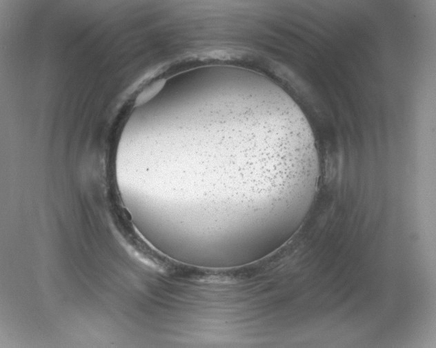 X0000082160444200702021705