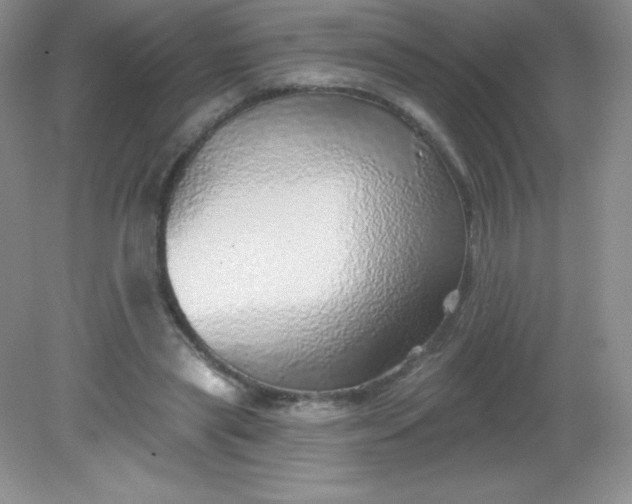 X0000082160445200702021705